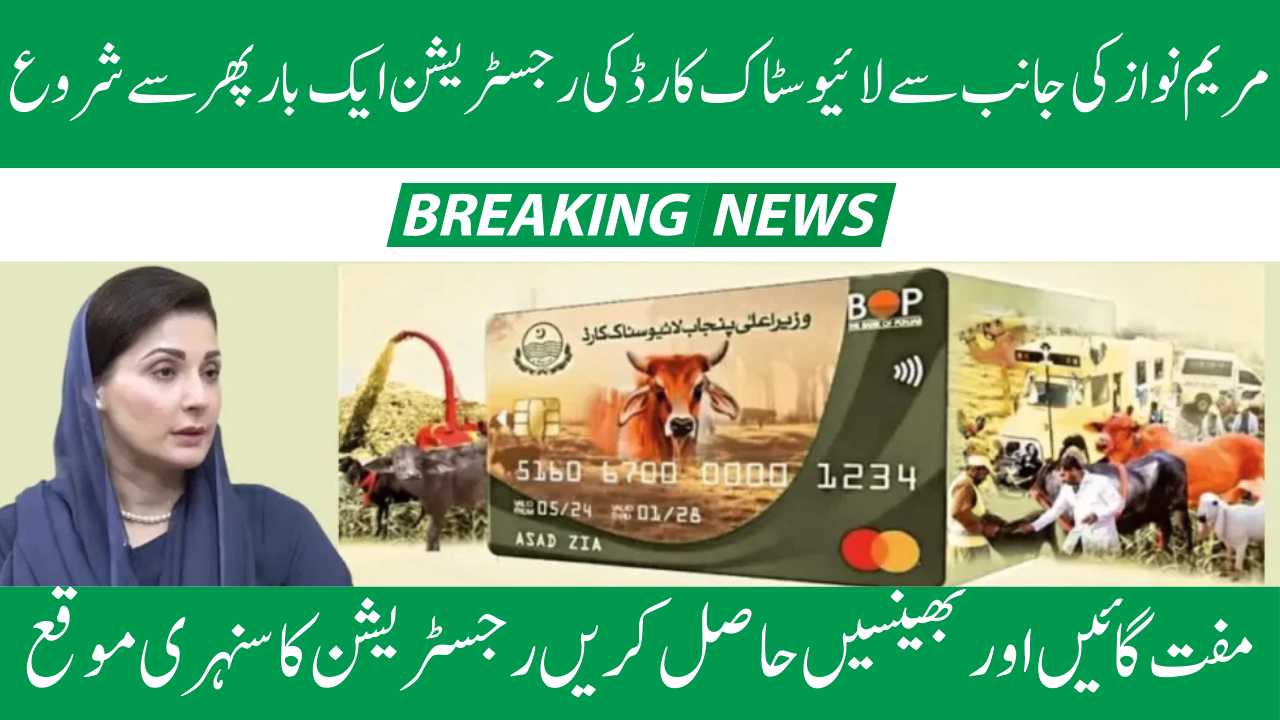 Cm Punjab Free Livestock Program 2025