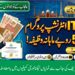 Chief Minister IT Internship Program 2026